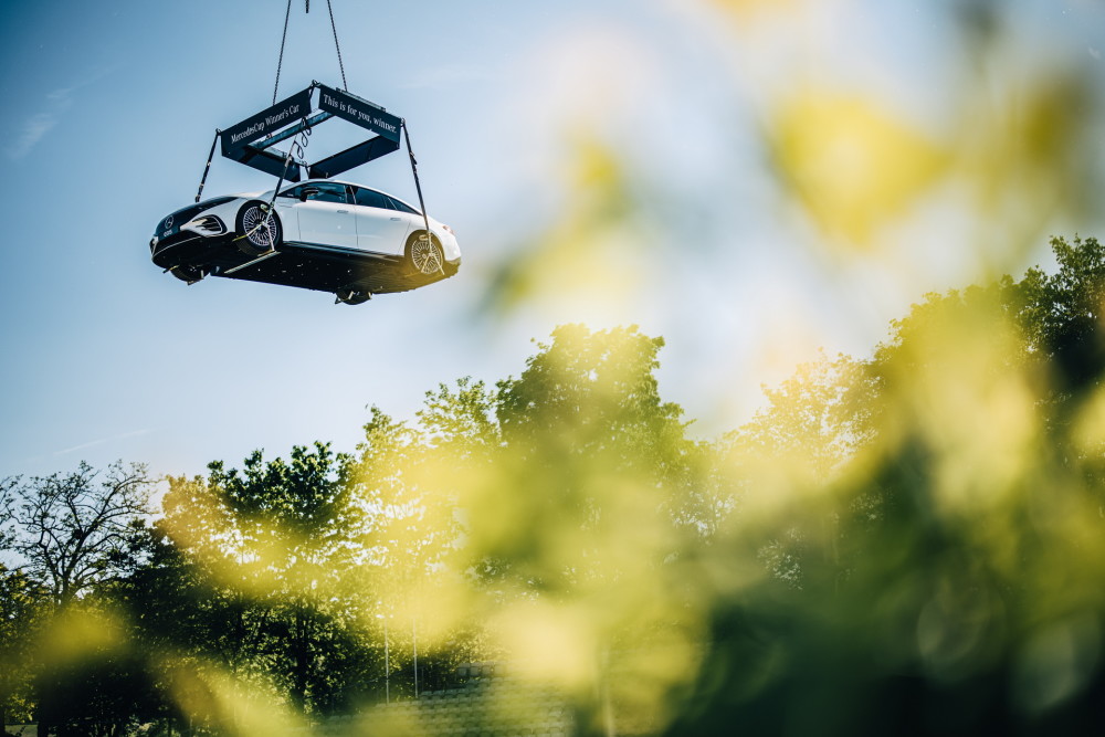 法国队的主 法国队的主
