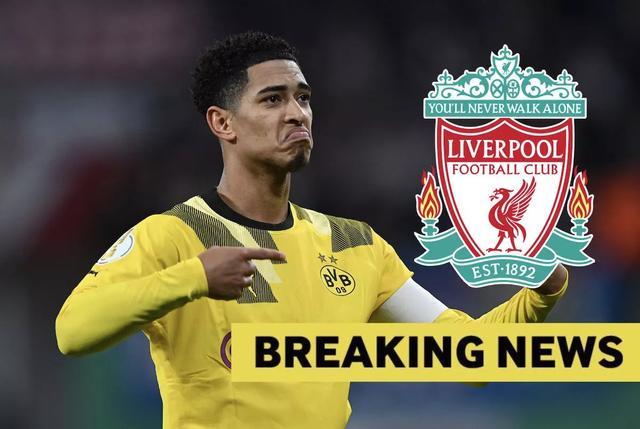 两支风格各 两支风格各